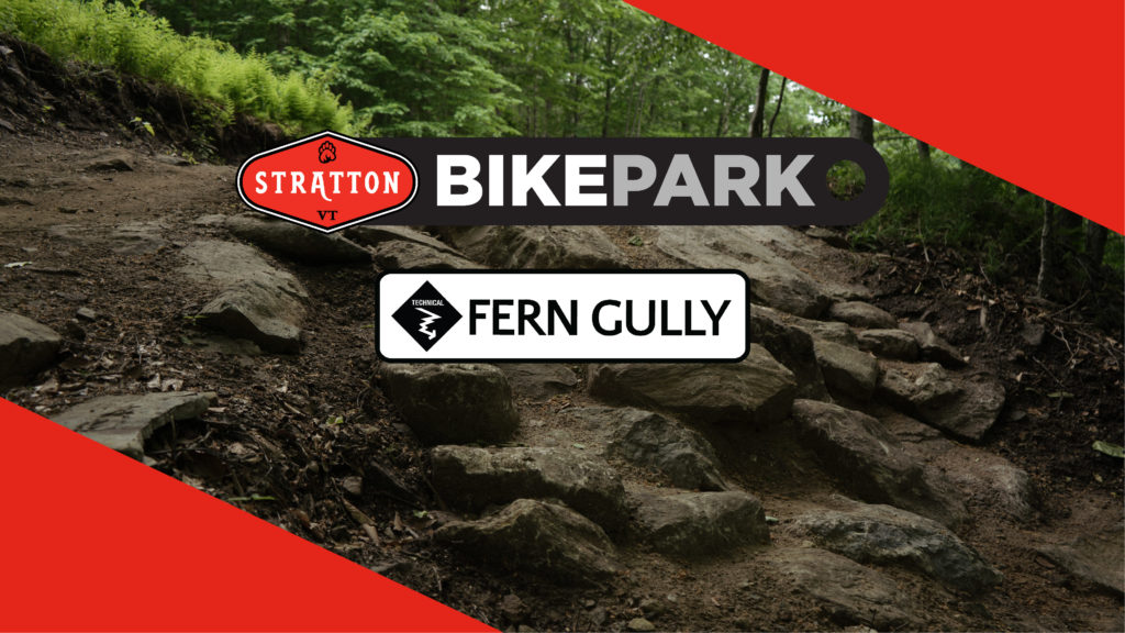 Mountain Bike Lessons