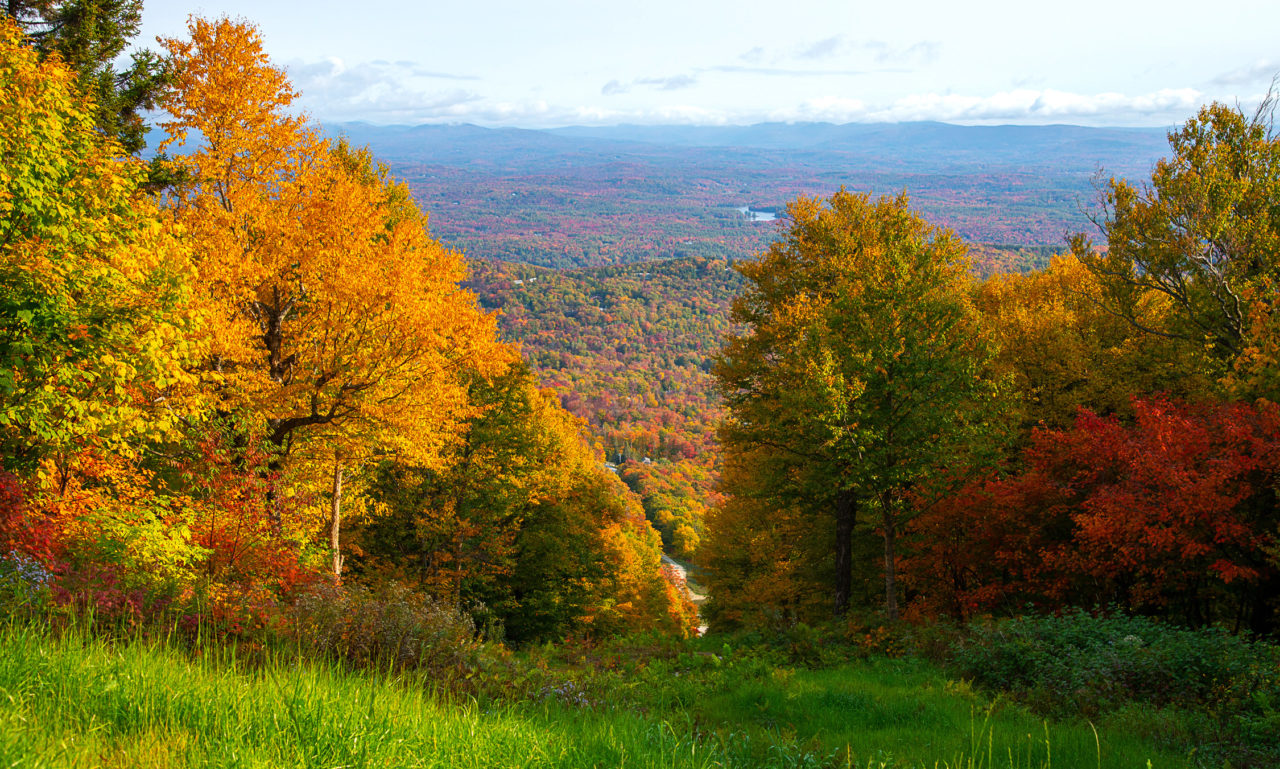 Best Fall Hikes in Vermont Near Stratton