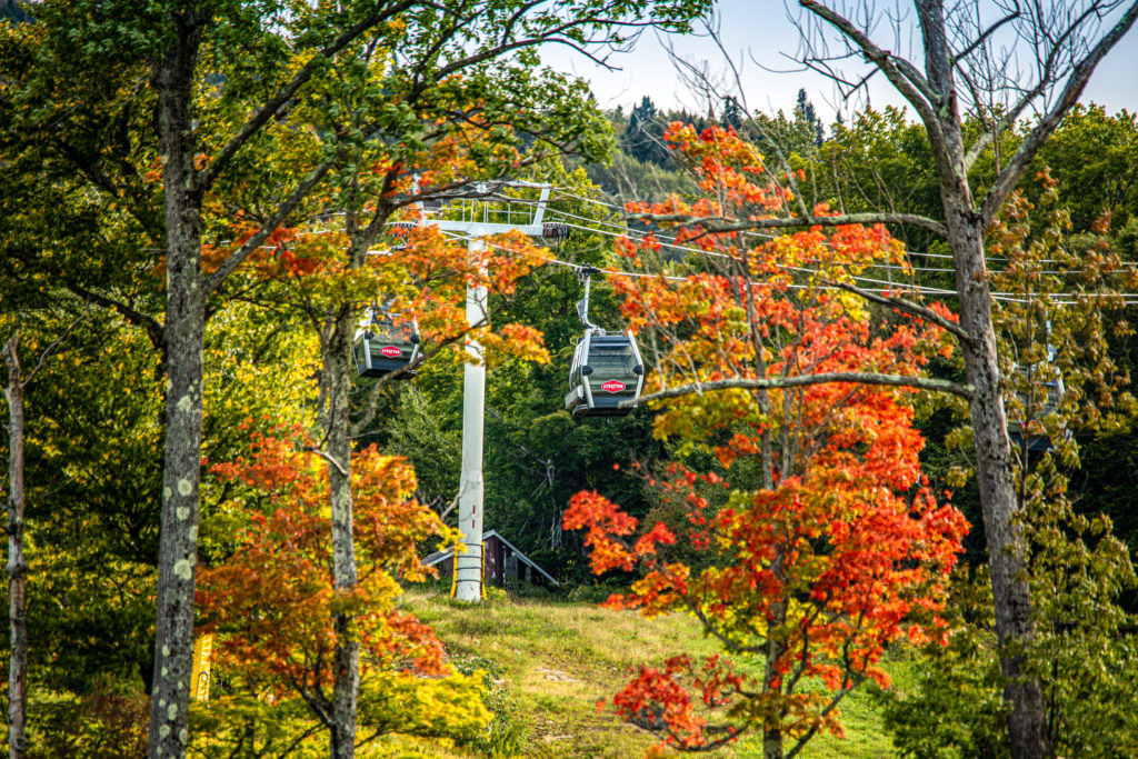 First Signs Of Fall In Vermont